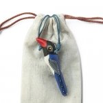 Red-Billed Blue Magpie