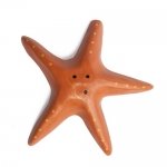 Starfish
