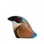 Gurney's Pitta