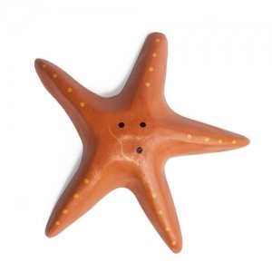 Starfish