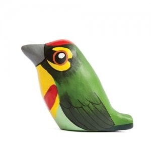 Coppersmith Barbet