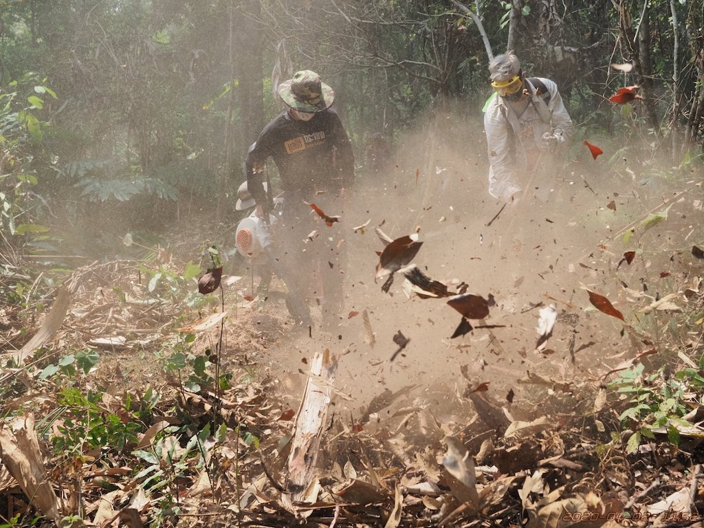 Leafblowers